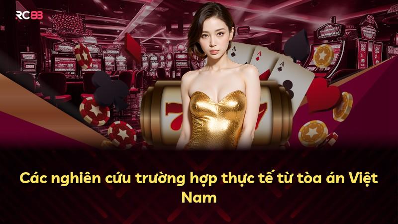 Các nghiên cứu trường hợp thực tế từ tòa án Việt Nam