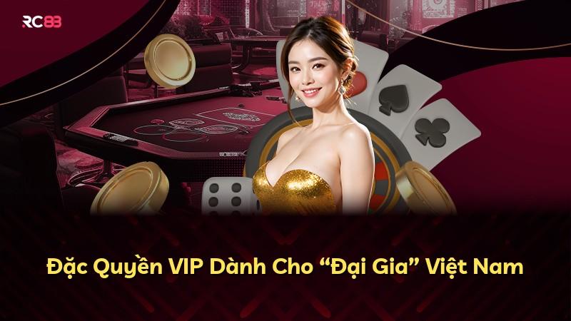Đặc Quyền VIP Dành Cho “Đại Gia” Việt Nam
