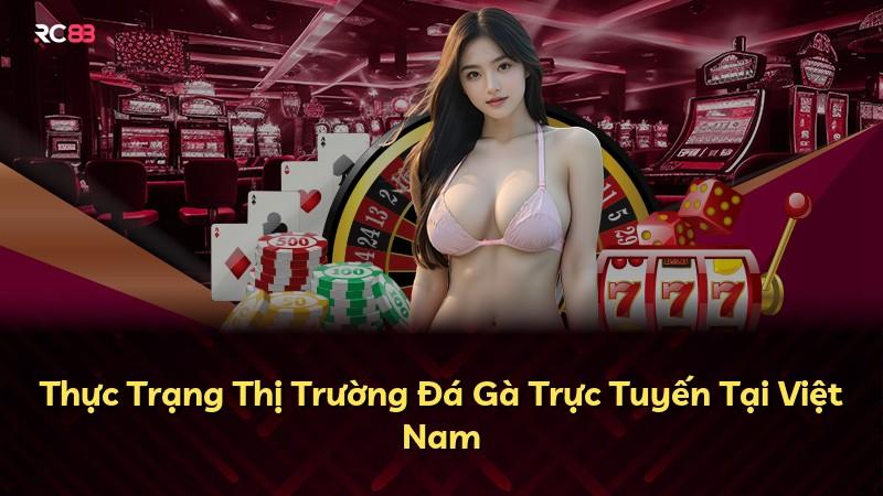 Thực Trạng Thị Trường Đá Gà Trực Tuyến Tại Việt Nam